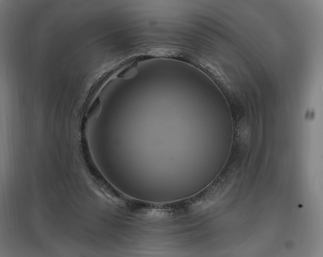 X0000096970303200802151314