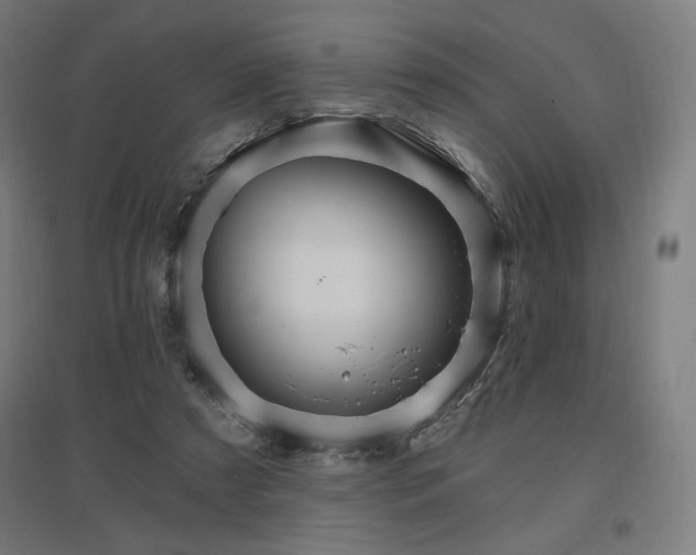 X0000096970305200802151314