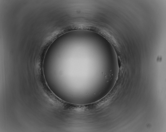 X0000096970306200802151314