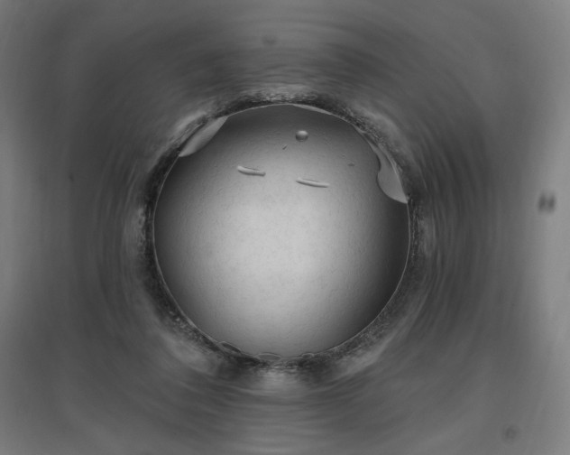 X0000096970308200802151314