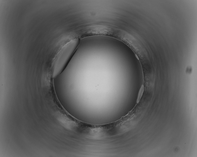 X0000096970309200802151314