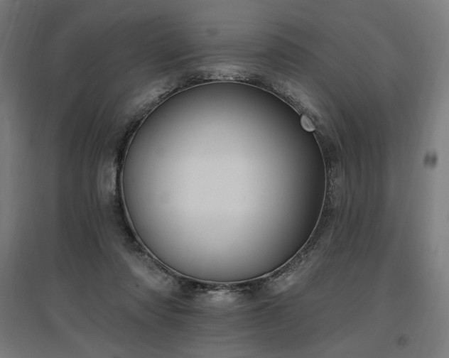 X0000096970310200802151314