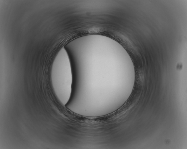 X0000096970311200802151314