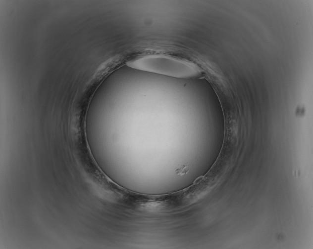 X0000096970312200802151314