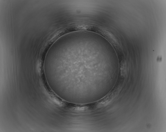 X0000096970314200802151314