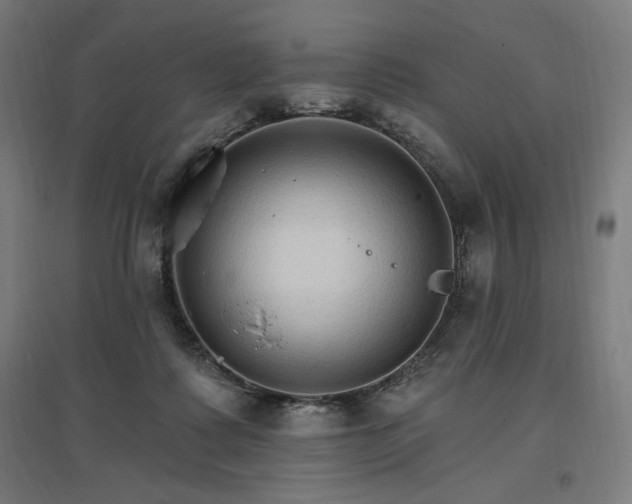 X0000096970315200802151314