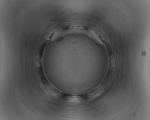 X0000096970316200802151314