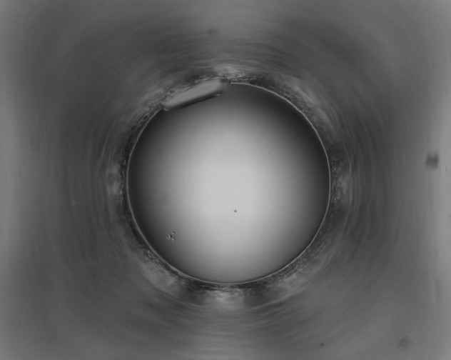 X0000096970317200802151314