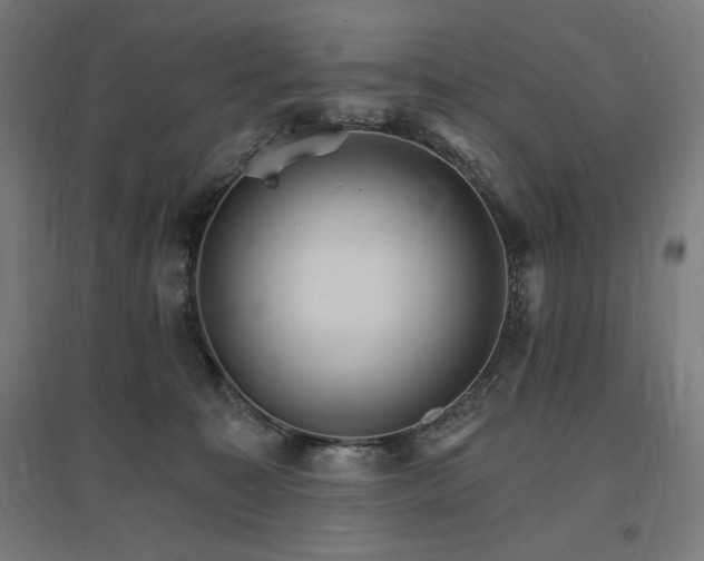 X0000096970323200802151314