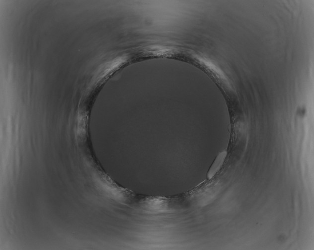 X0000096970325200802151314