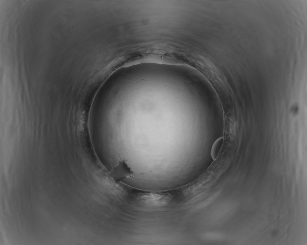 X0000096970326200802151314