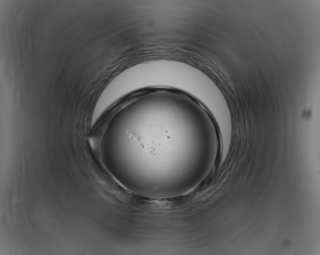 X0000096970328200802151314