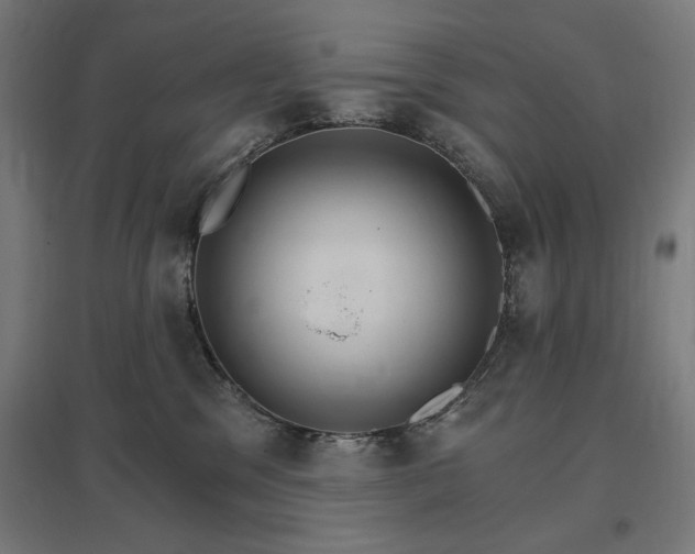X0000096970329200802151314