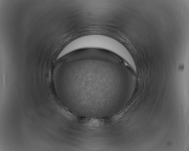 X0000096970330200802151314