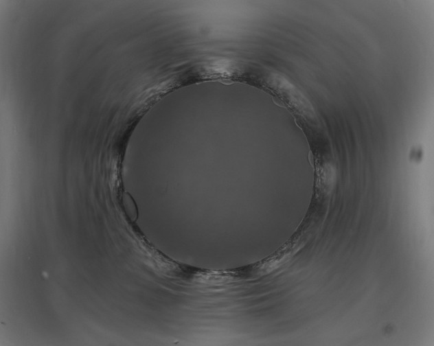 X0000096970331200802151314