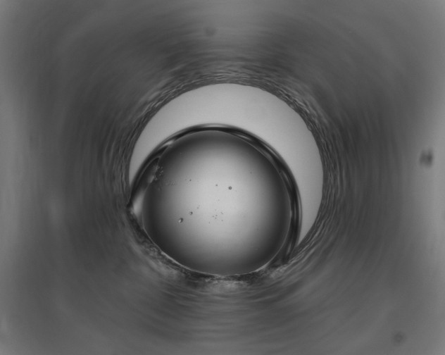 X0000096970332200802151314