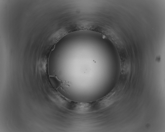 X0000096970334200802151314