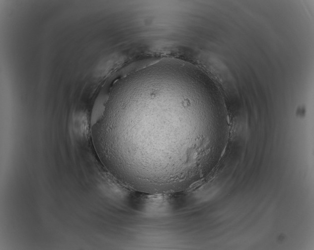 X0000096970335200802151314