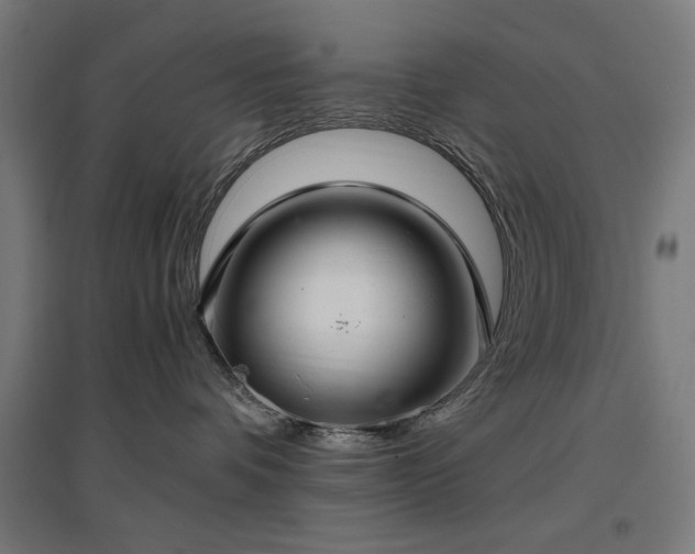 X0000096970336200802151314