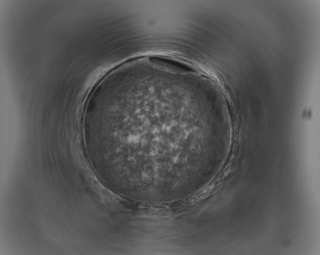 X0000096970337200802151313
