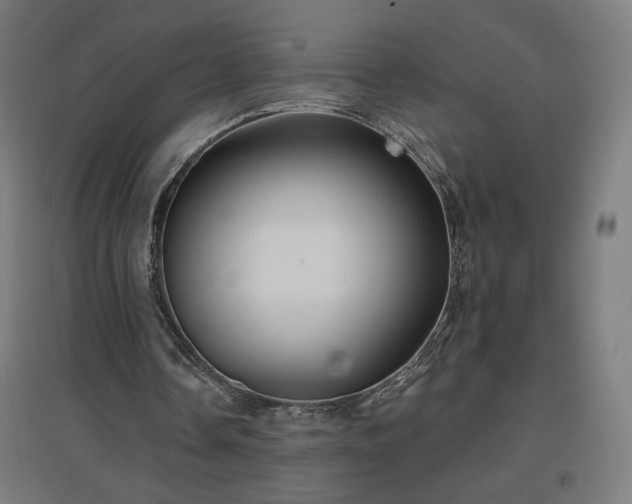 X0000096970338200802151313