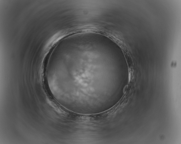 X0000096970339200802151313
