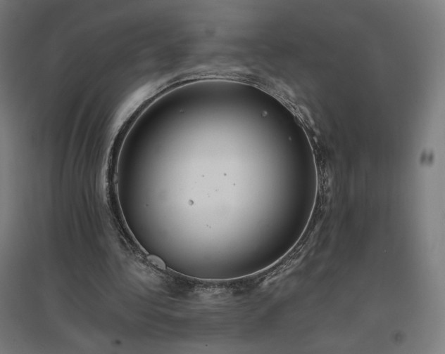 X0000096970340200802151313