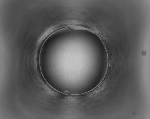 X0000096970341200802151313