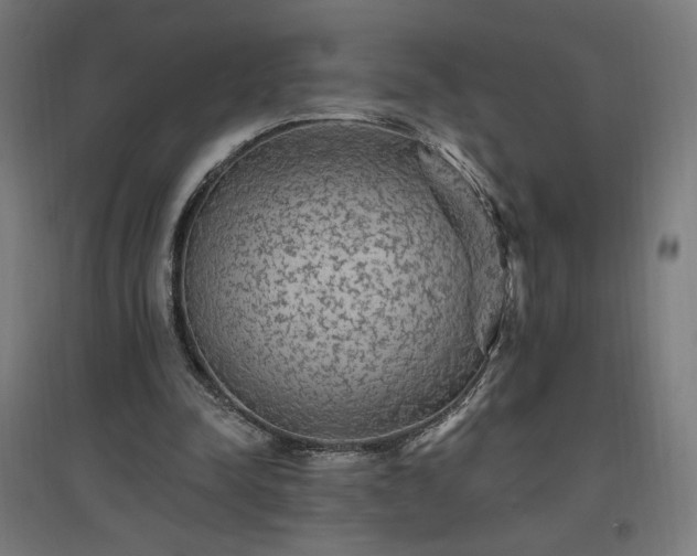 X0000096970342200802151313