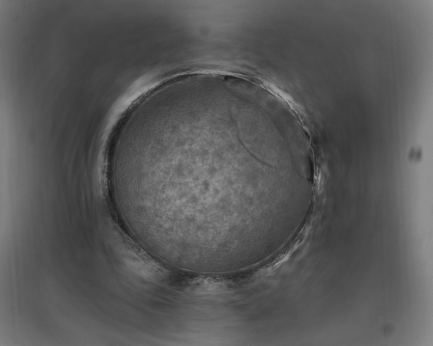X0000096970343200802151313