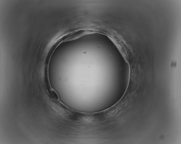 X0000096970344200802151313