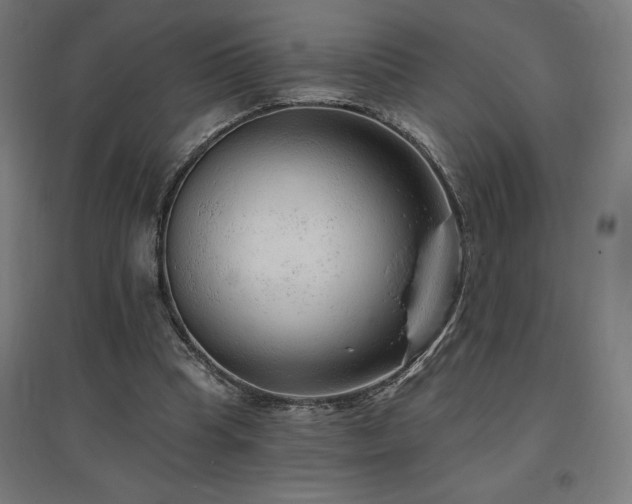 X0000096970345200802151313
