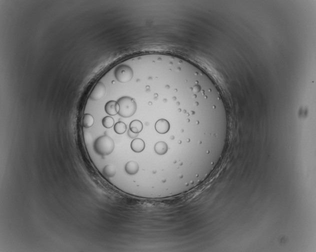 X0000096970346200802151313