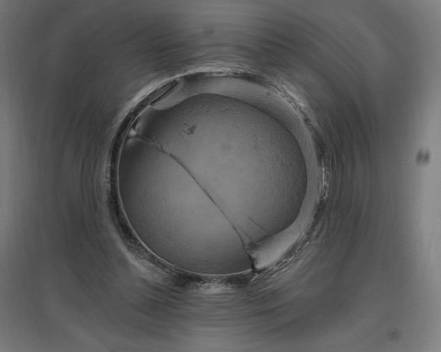 X0000096970348200802151313