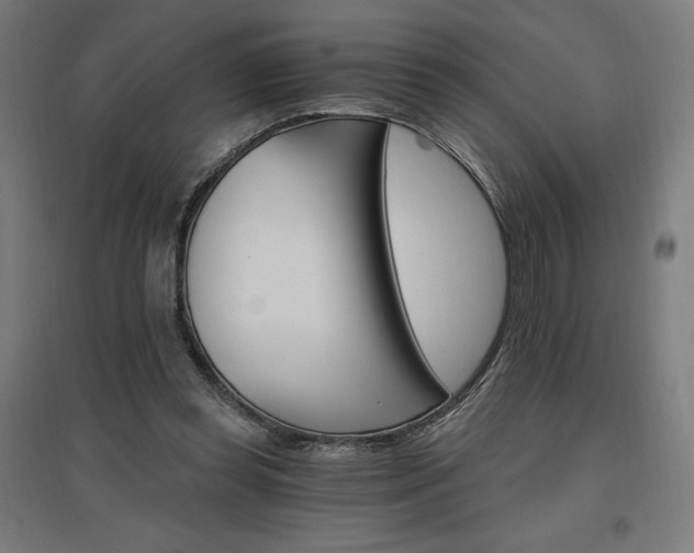 X0000096970349200802151313