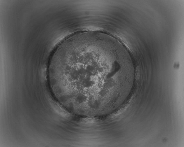 X0000096970351200802151313