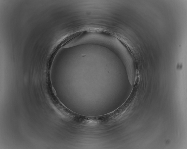 X0000096970352200802151313