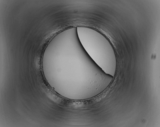 X0000096970353200802151313