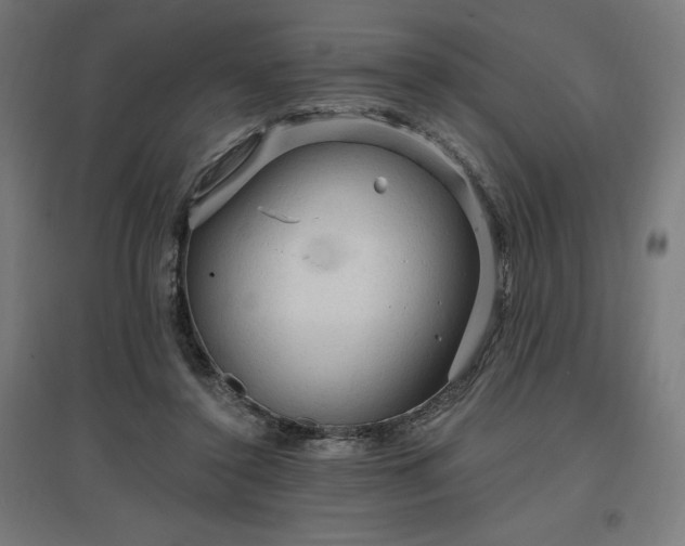 X0000096970356200802151313