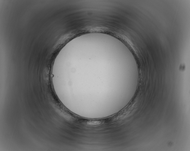 X0000096970357200802151313