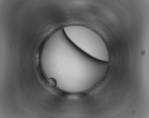 X0000096970358200802151313
