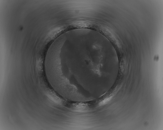 X0000096970359200802151313