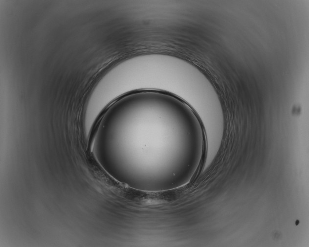 X0000096970360200802151313
