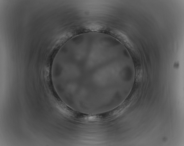 X0000096970365200802151313