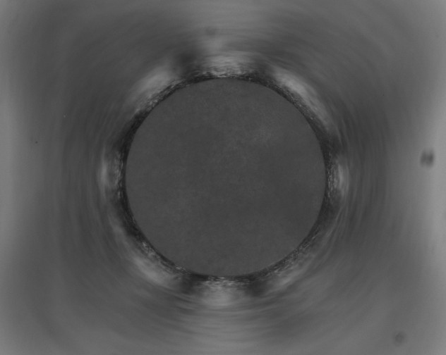 X0000096970367200802151313