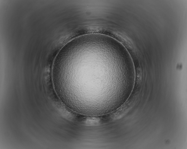 X0000096970369200802151313