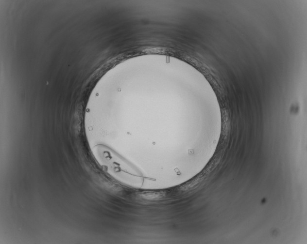 X0000096970370200802151313