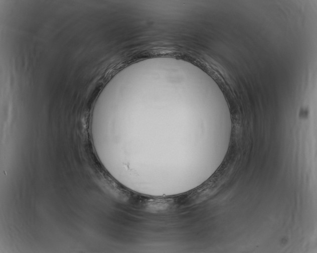 X0000096970373200802151313