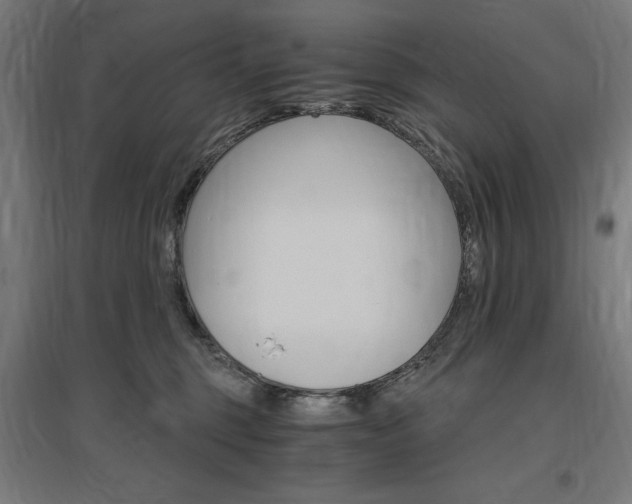 X0000096970375200802151313