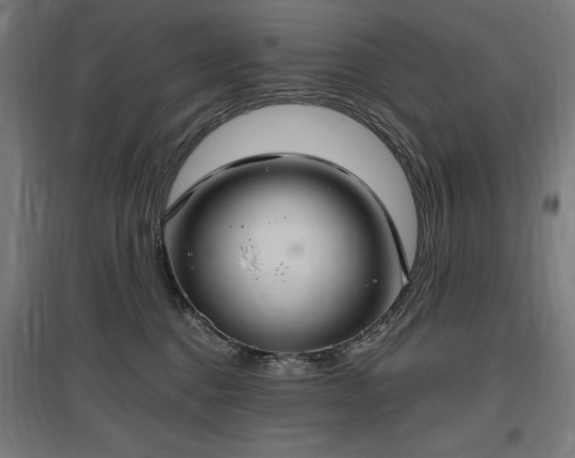 X0000096970376200802151313